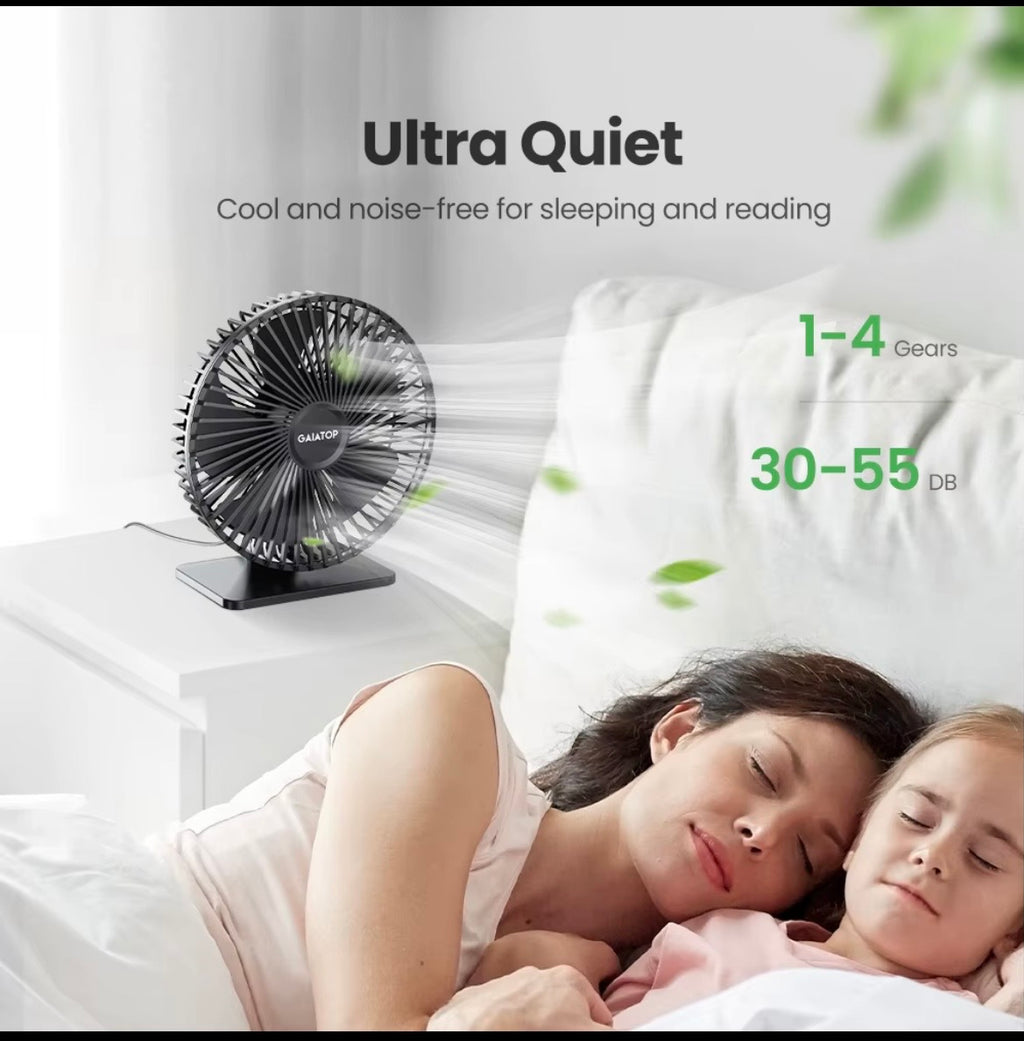 Portable Desk fan