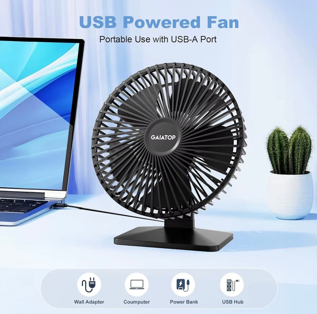 Portable Desk fan