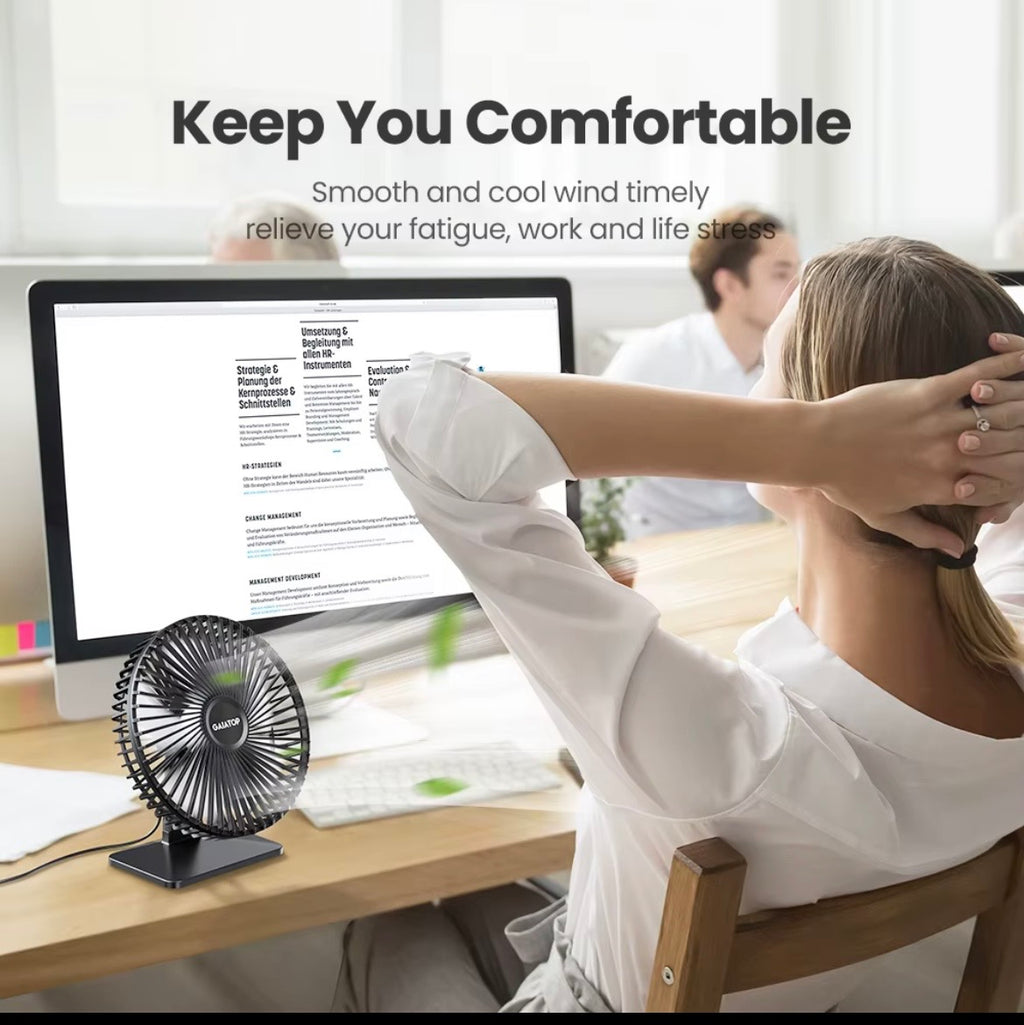 Portable Desk fan