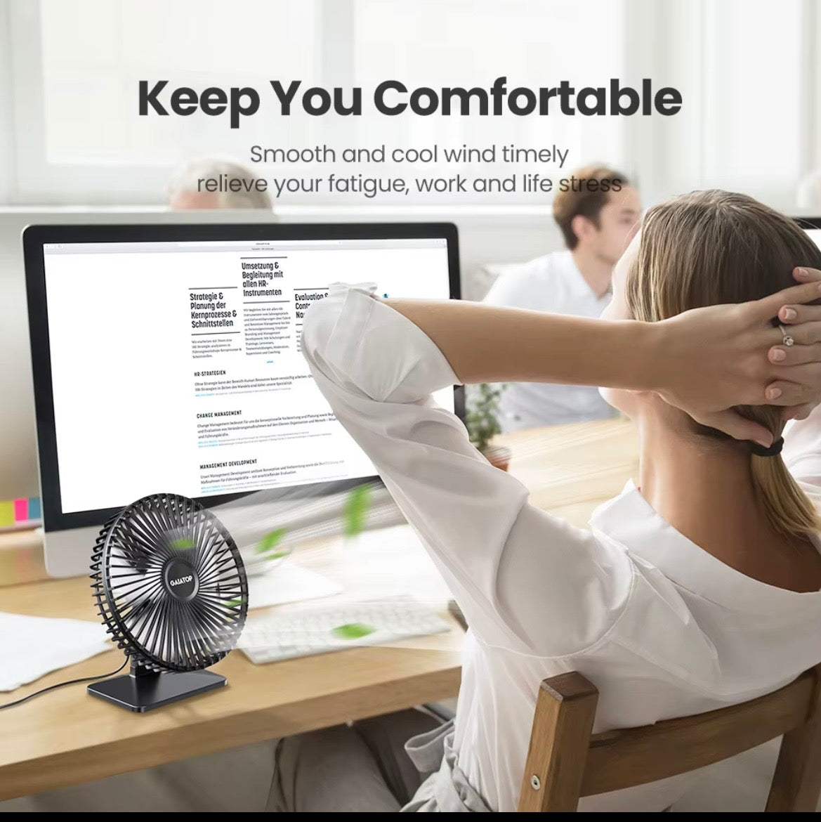 Portable Desk fan
