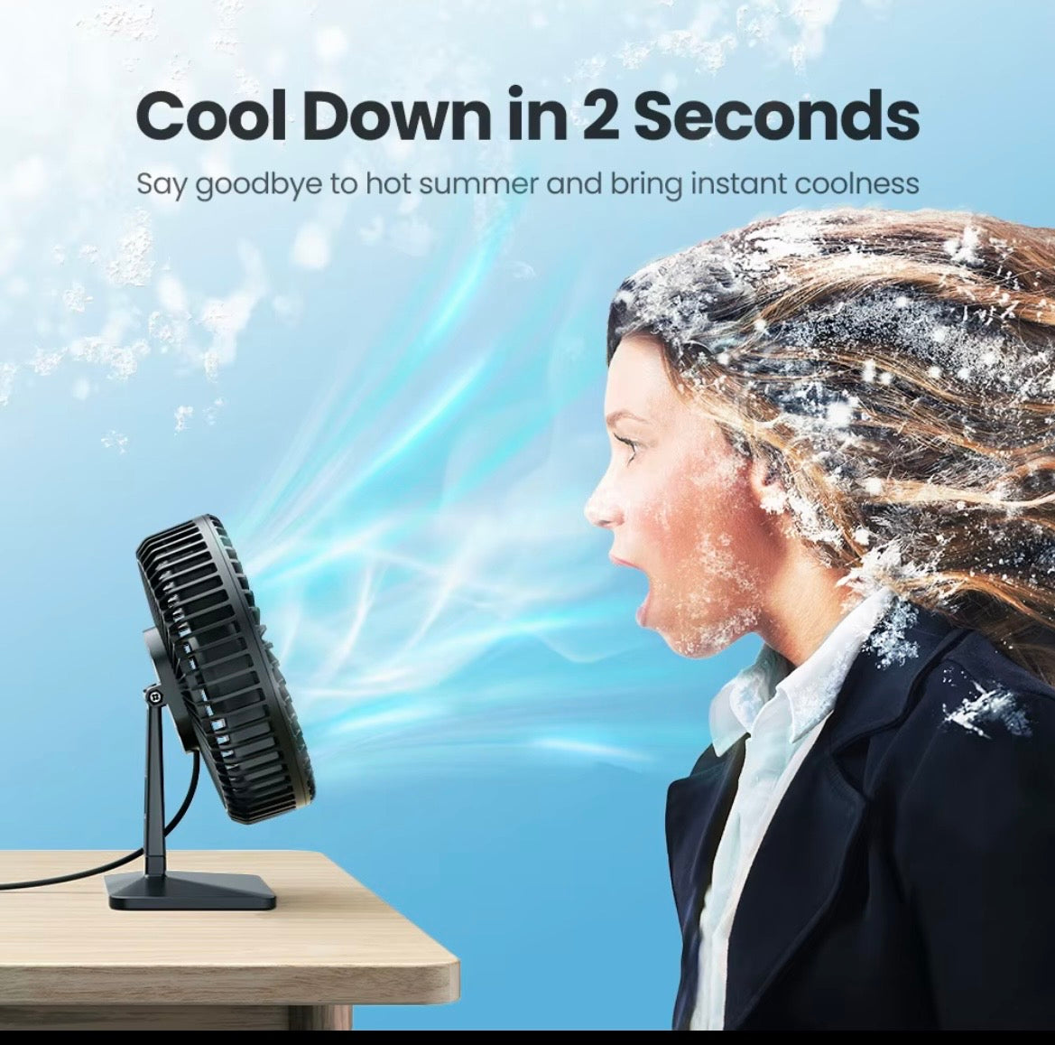Portable Desk fan
